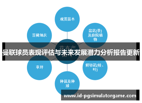 曼联球员表现评估与未来发展潜力分析报告更新