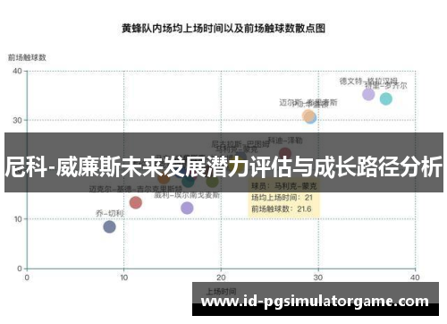 尼科-威廉斯未来发展潜力评估与成长路径分析