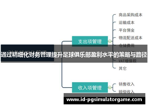 通过精细化财务管理提升足球俱乐部盈利水平的策略与路径