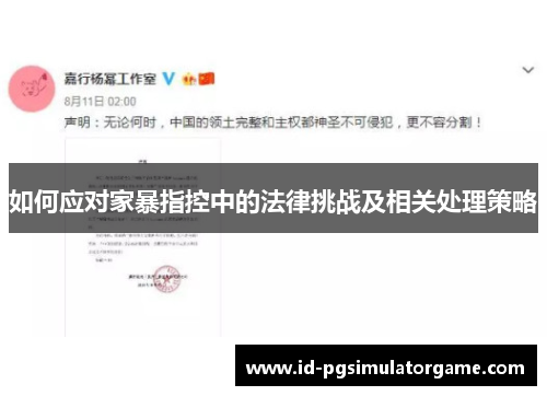 如何应对家暴指控中的法律挑战及相关处理策略