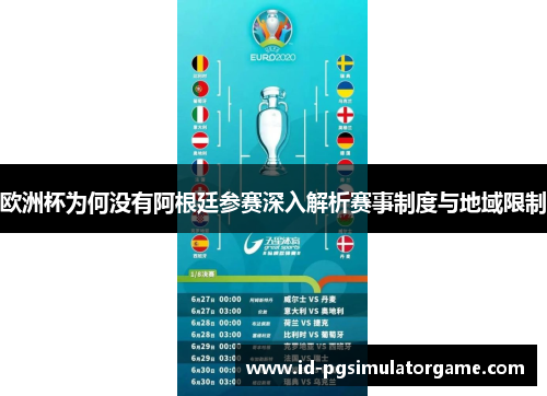 欧洲杯为何没有阿根廷参赛深入解析赛事制度与地域限制