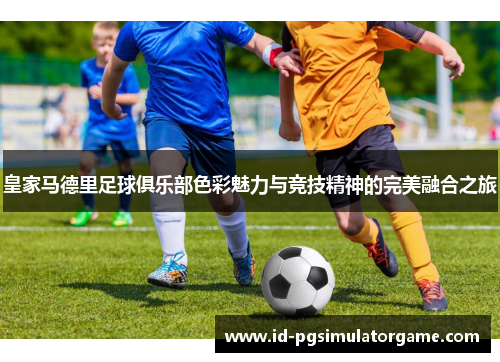 皇家马德里足球俱乐部色彩魅力与竞技精神的完美融合之旅