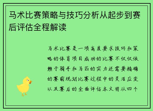 马术比赛策略与技巧分析从起步到赛后评估全程解读
