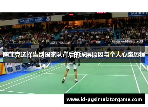 陶菲克选择告别国家队背后的深层原因与个人心路历程