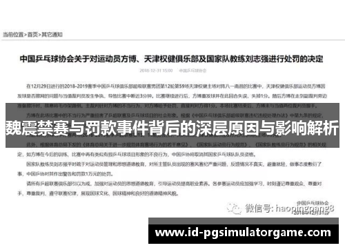 魏震禁赛与罚款事件背后的深层原因与影响解析