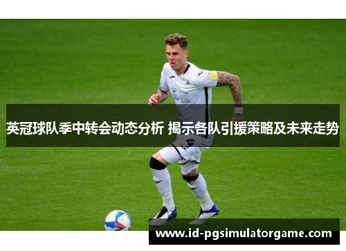 英冠球队季中转会动态分析 揭示各队引援策略及未来走势