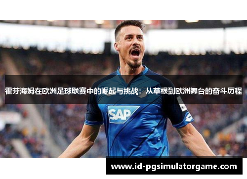 霍芬海姆在欧洲足球联赛中的崛起与挑战：从草根到欧洲舞台的奋斗历程